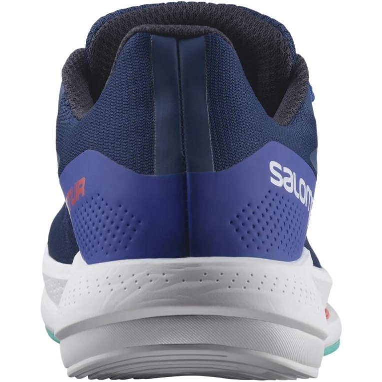 Blue Salomon Spectur Men's Running Shoes | PH 72536J